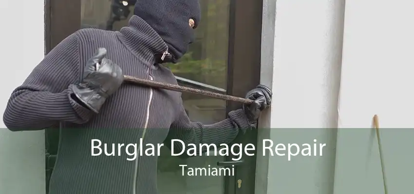 Burglar Damage Repair Tamiami