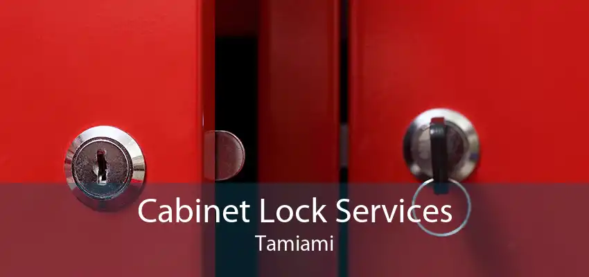 Cabinet Lock Services Tamiami