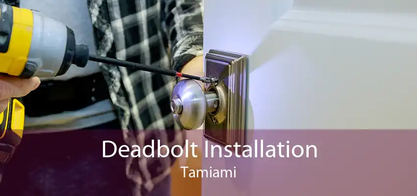 Deadbolt Installation Tamiami