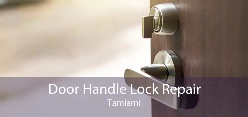 Door Handle Lock Repair Tamiami