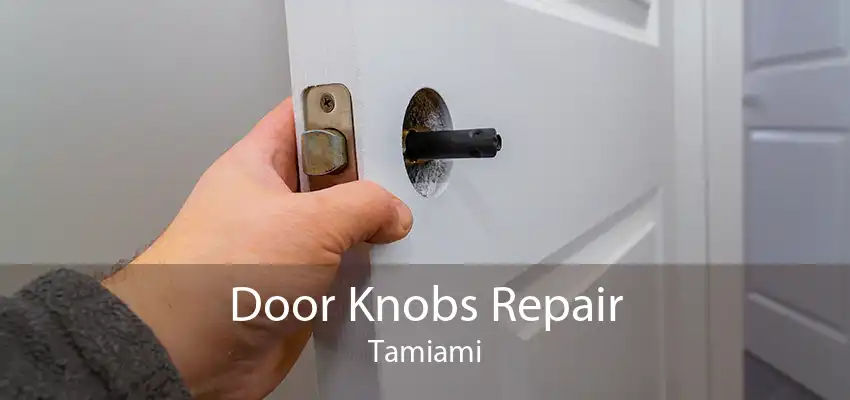 Door Knobs Repair Tamiami