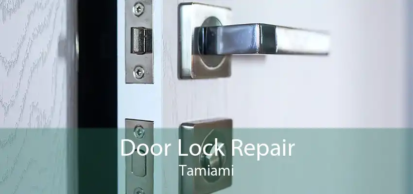 Door Lock Repair Tamiami