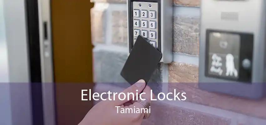 Electronic Locks Tamiami