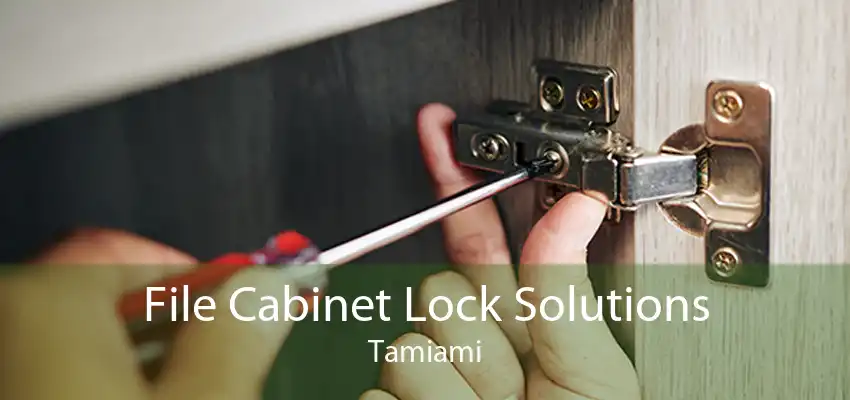File Cabinet Lock Solutions Tamiami