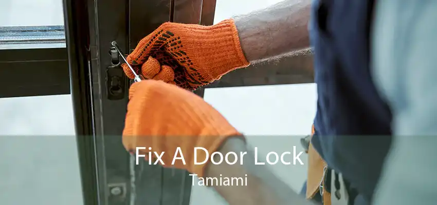 Fix A Door Lock Tamiami