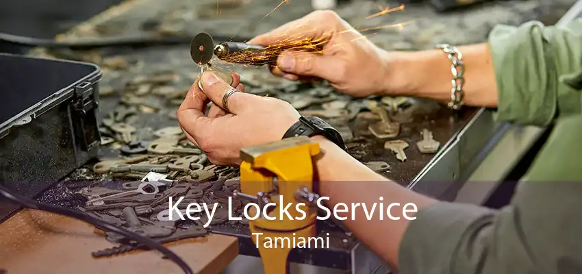 Key Locks Service Tamiami