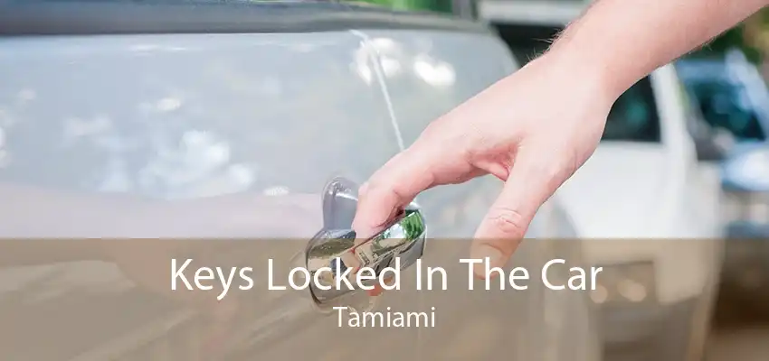 Keys Locked In The Car Tamiami
