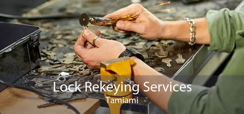 Lock Rekeying Services Tamiami