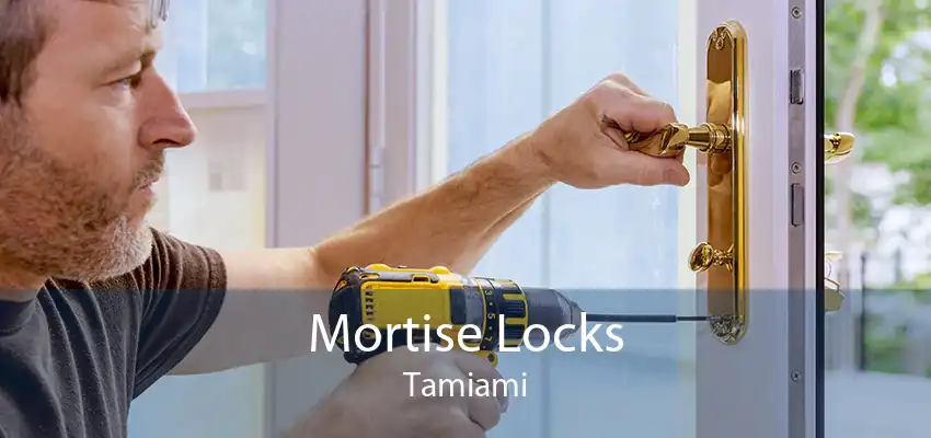 Mortise Locks Tamiami