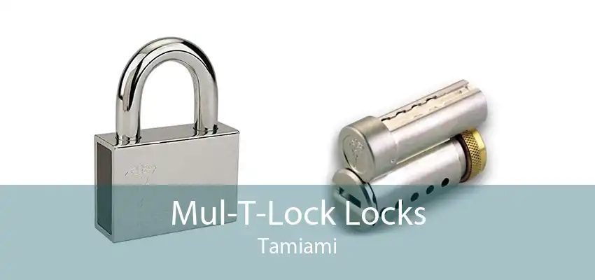 Mul-T-Lock Locks Tamiami