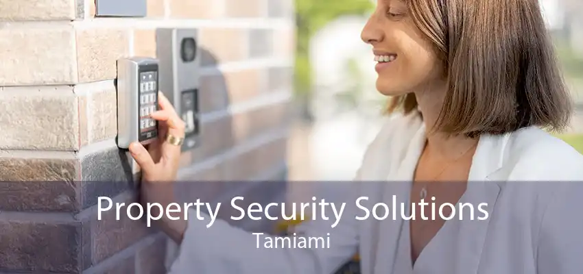 Property Security Solutions Tamiami