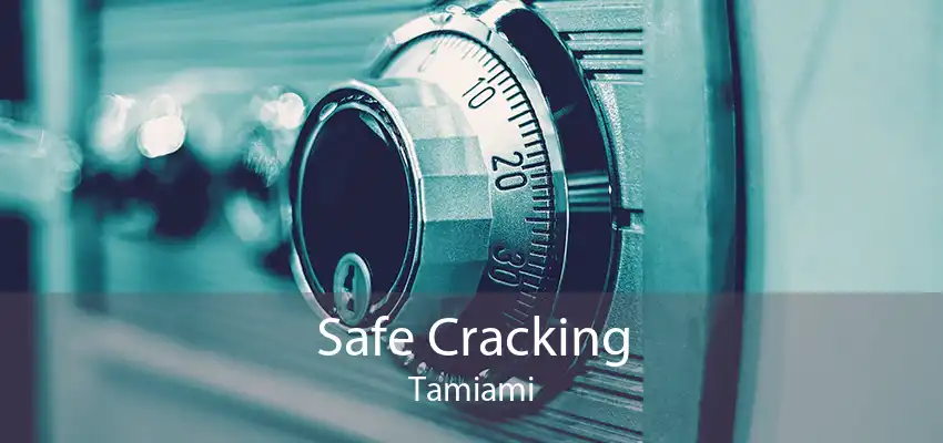 Safe Cracking Tamiami