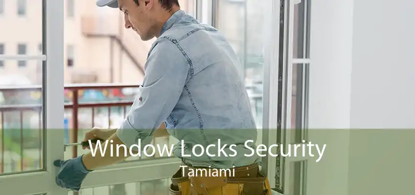 Window Locks Security Tamiami